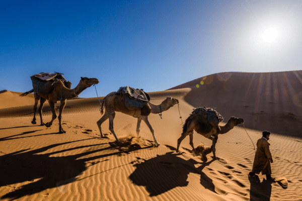 Marrakech 1.2
