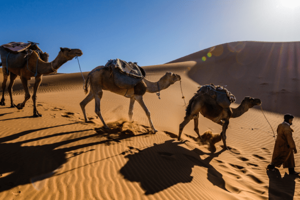 Marrakech 3