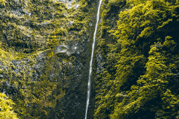 Madeira 3