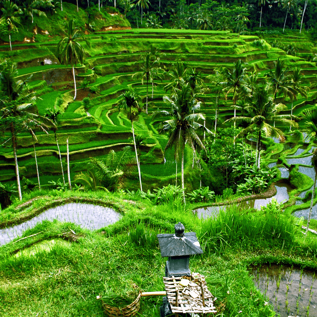 Indonesia 1