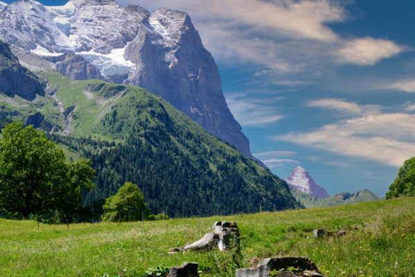 SUIZA4