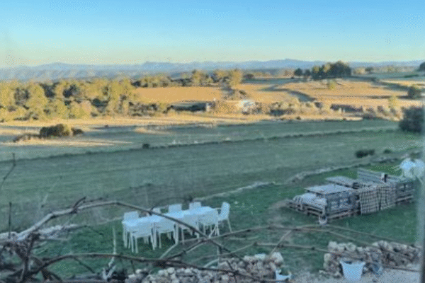 Enguera 12