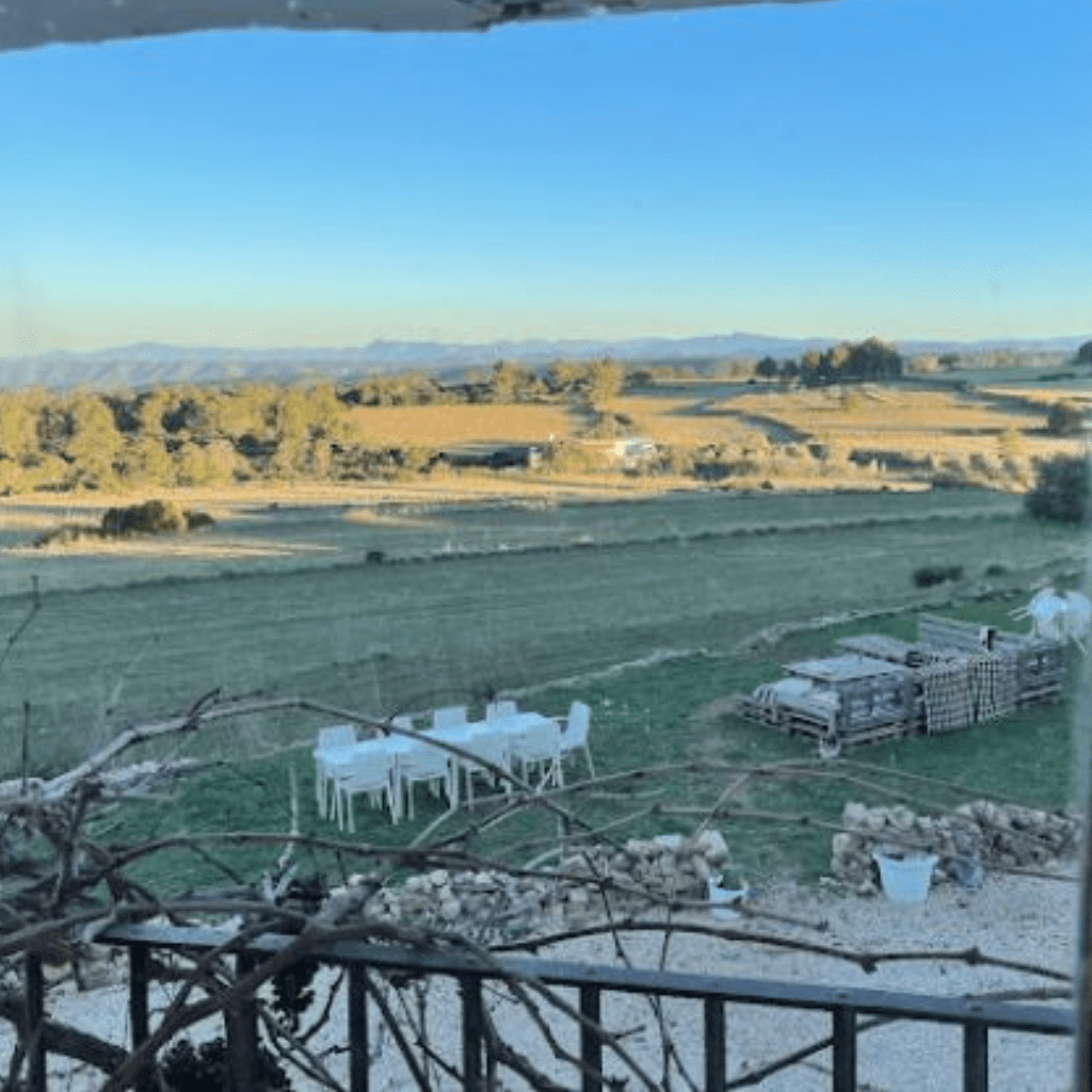 Enguera 12
