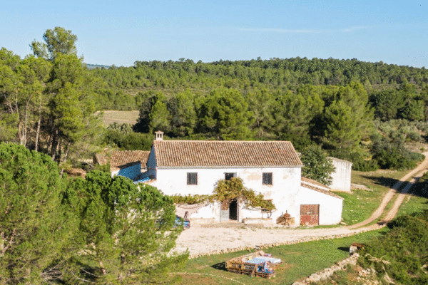 Enguera 6