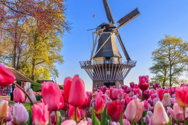 amsterdam 1