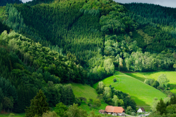Alemania 2