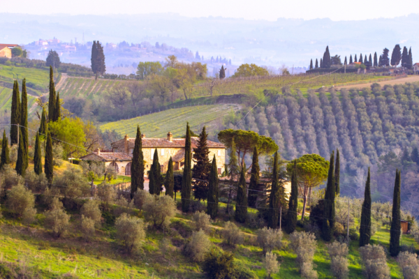 Toscana 1
