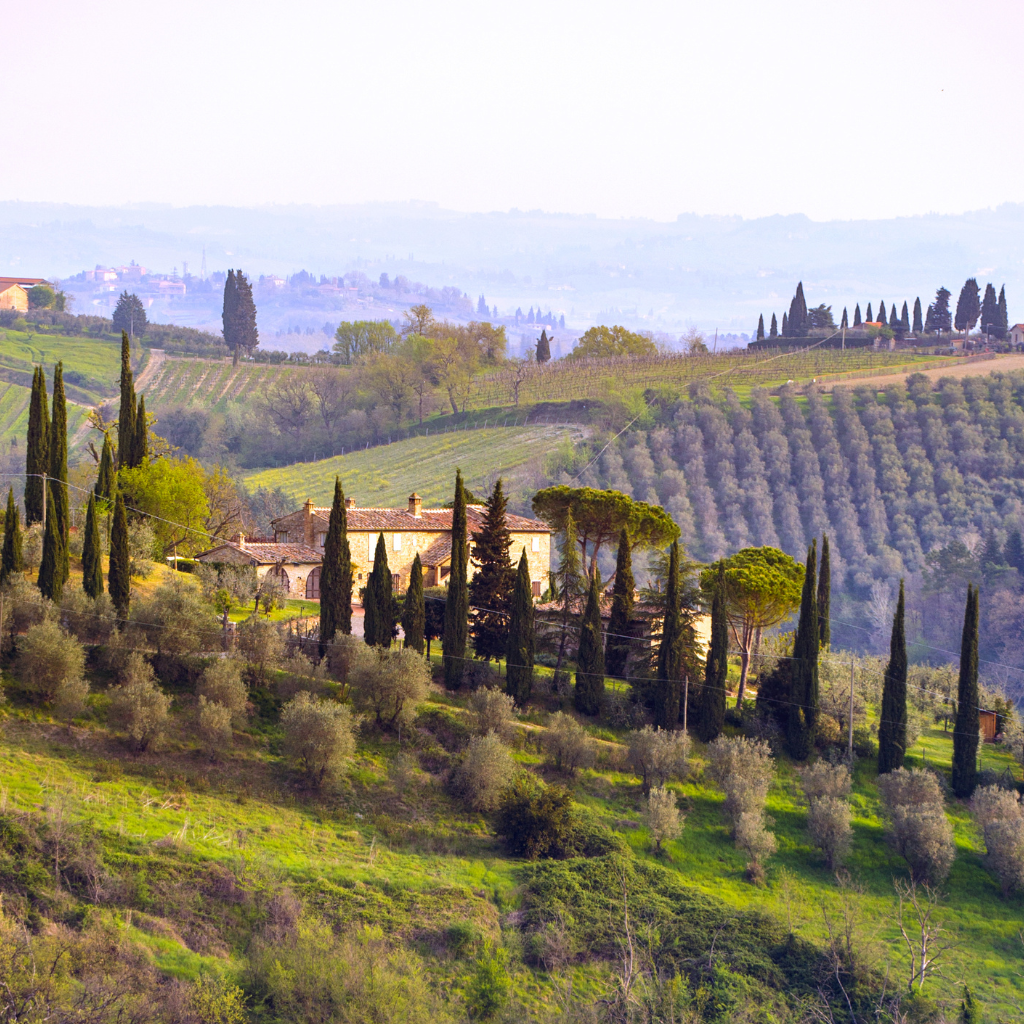 Toscana 1