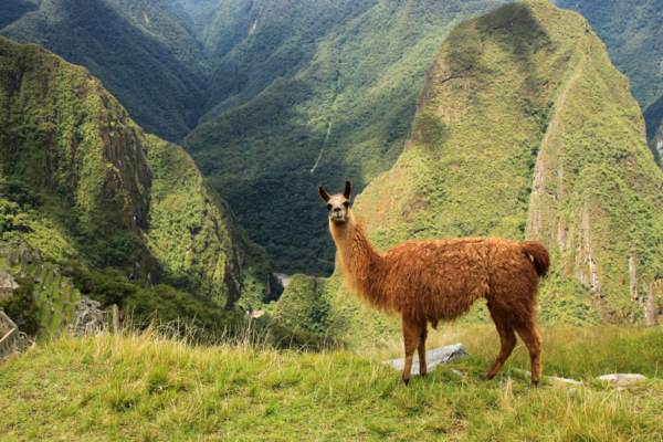 peru 2