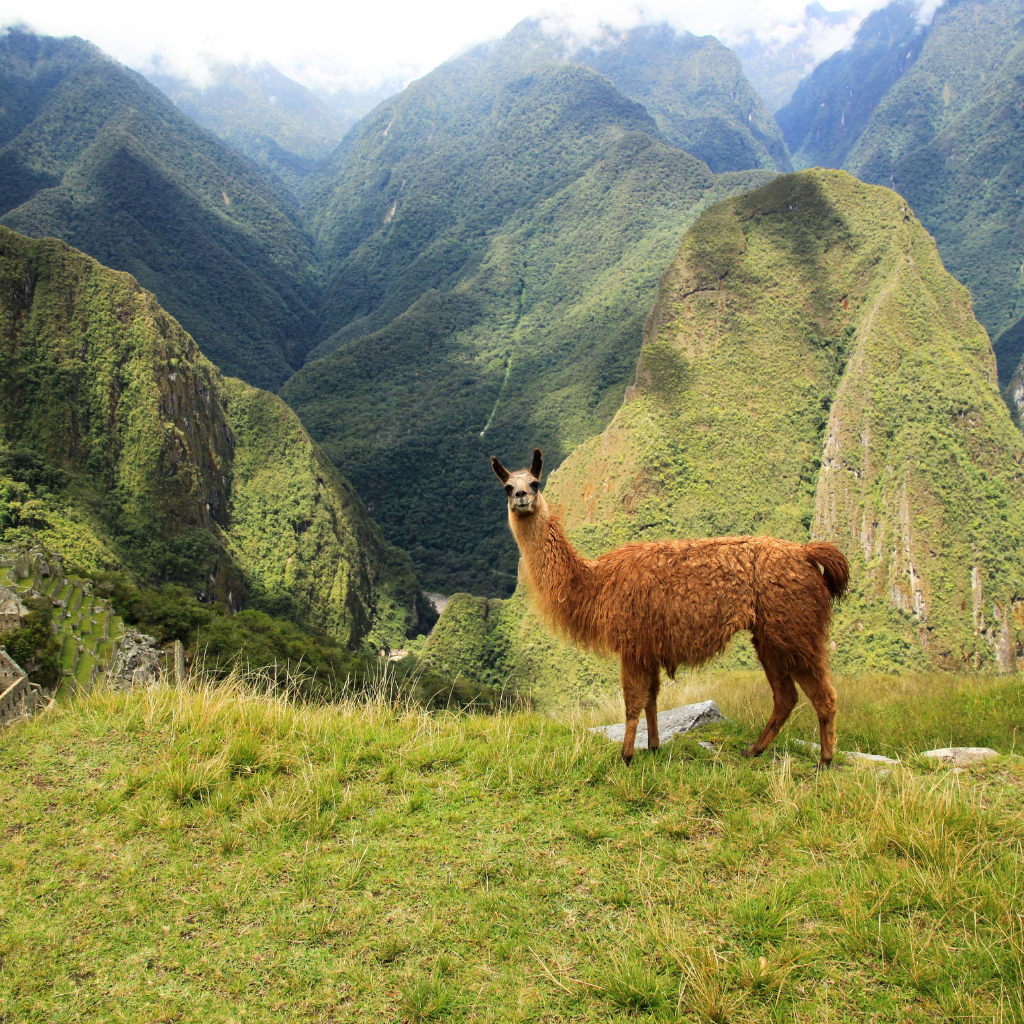peru 2